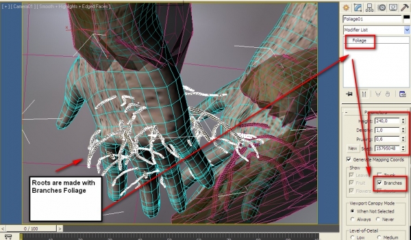 Creation of Roots: Step 9